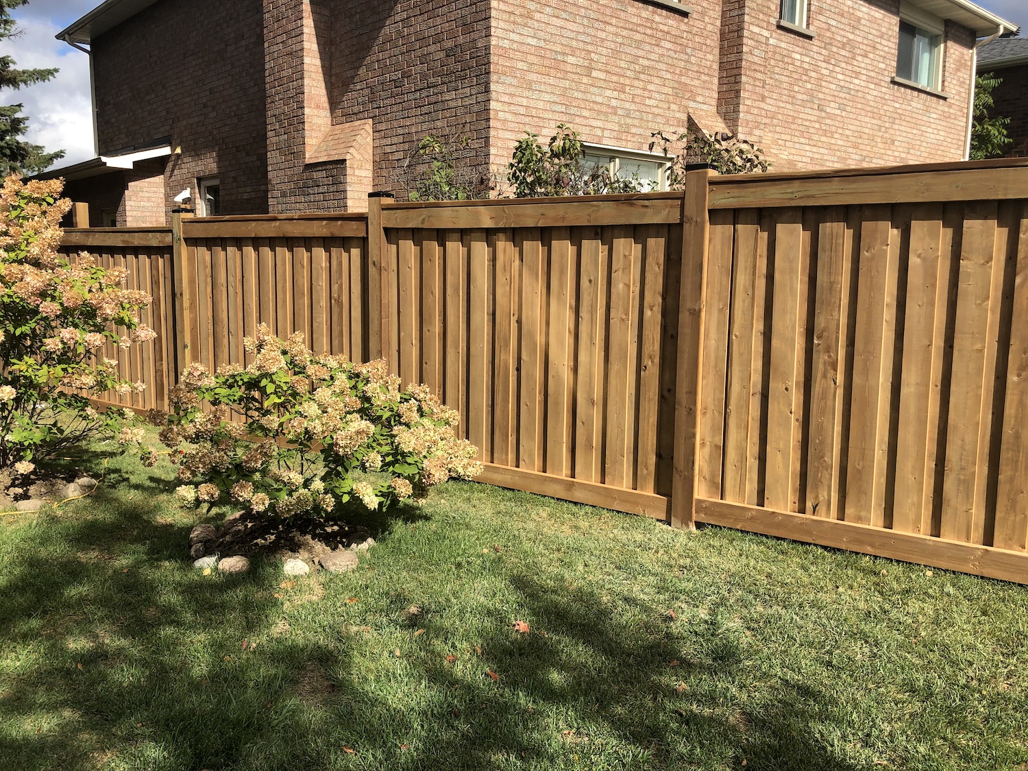 Wooden Fences